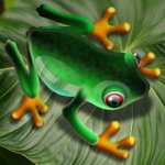 Shiny and glossy Frog